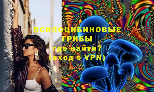 герыч Алексеевка