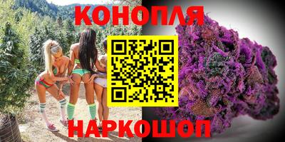 дживик Вышний Волочёк