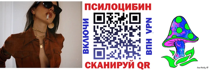 Псилоцибиновые грибы Psilocybe  закладки  Северодвинск 