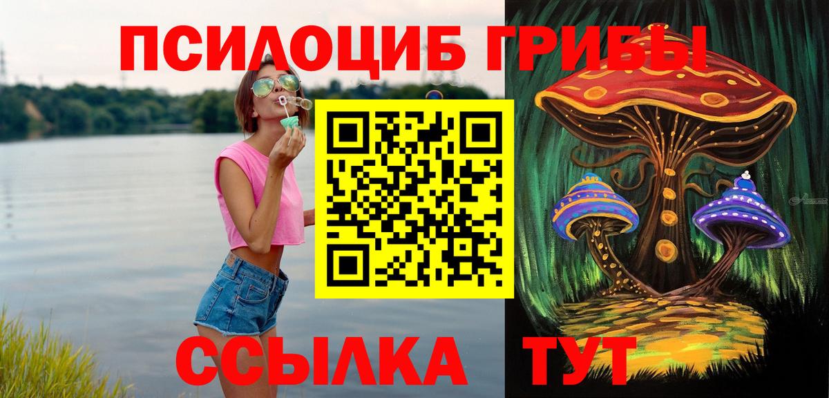 Галлюциногенные грибы Cubensis  цены наркотик  Вход с VPN  Северодвинск  Галлюциногенные грибы Cubensis 