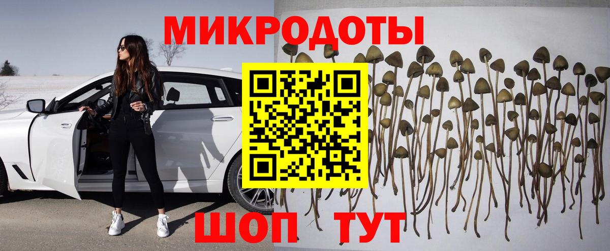 Галлюциногенные грибы мухоморы Северодвинск