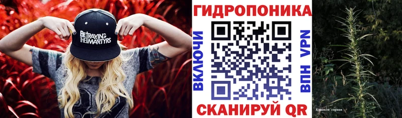 сколько стоит  мориарти состав  MEGA как зайти  Бошки марихуана AK-47  Северодвинск 
